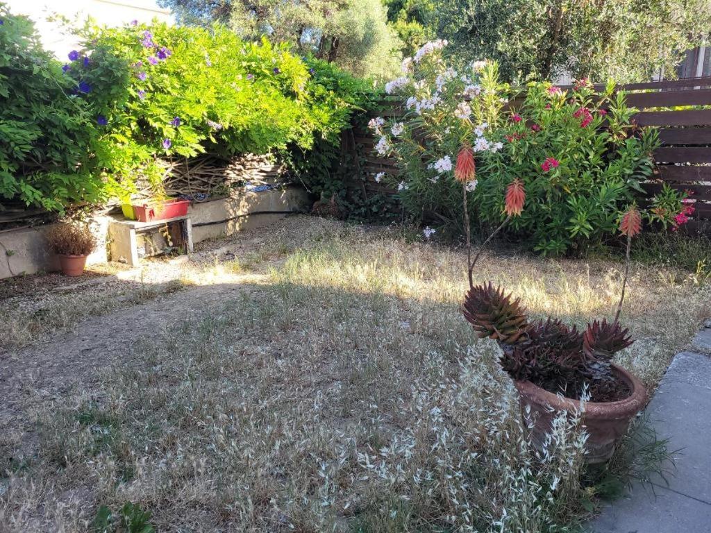La Desiree ,1er Etage Complet De La Villa, Renove A Neuf , 4 Etoiles, Climatise, Parking Prive Et 120m2 De Jardin Villa